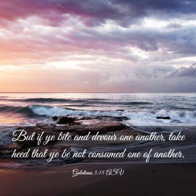 Picture 03 - Galatians 5:15 ASV - But if ye bite and devour one another, take heed - Bible Verse Picture