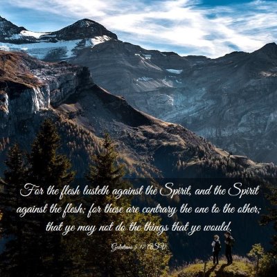 Picture 03 - Galatians 5:17 ASV - For the flesh lusteth against the Spirit, and the - Bible Verse Picture
