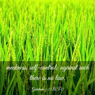 Picture 03 - Galatians 5:23 ASV - meekness, self-control; against such there is no - Bible Verse Picture