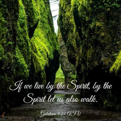Picture 03 - Galatians 5:25 ASV - If we live by the Spirit, by the Spirit let us - Bible Verse Picture