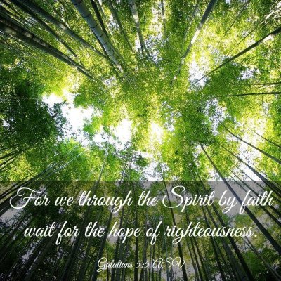 Picture 03 - Galatians 5:5 ASV - For we through the Spirit by faith wait for the - Bible Verse Picture