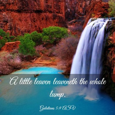 Picture 03 - Galatians 5:9 ASV - A little leaven leaveneth the whole - Bible Verse Picture