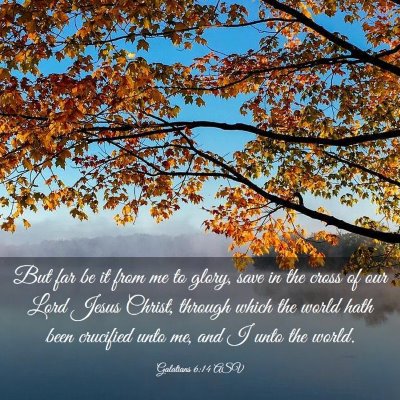 Picture 03 - Galatians 6:14 ASV - But far be it from me to glory, save in the cross - Bible Verse Picture