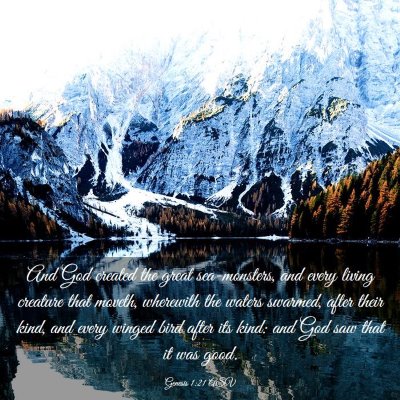 Picture 03 - Genesis 1:21 ASV - And God created the great sea-monsters, and every - Bible Verse Picture