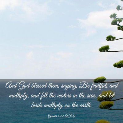 Picture 03 - Genesis 1:22 ASV - And God blessed them, saying, Be fruitful, and - Bible Verse Picture