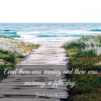 Picture 03 - Genesis 1:23 ASV - And there was evening and there was morning, a - Bible Verse Picture