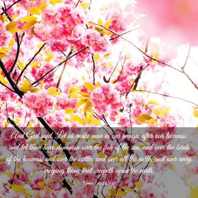 Picture 03 - Genesis 1:26 ASV - And God said, Let us make man in our image, after - Bible Verse Picture