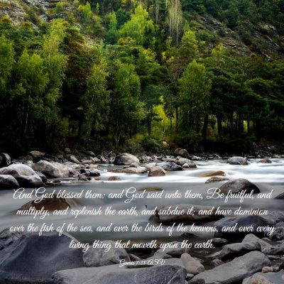 Picture 03 - Genesis 1:28 ASV - And God blessed them: and God said unto them, Be - Bible Verse Picture