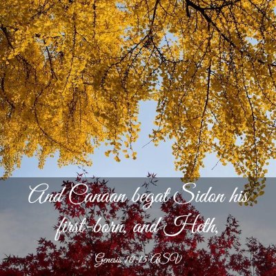 Picture 03 - Genesis 10:15 ASV - And Canaan begat Sidon his first-born, and - Bible Verse Picture