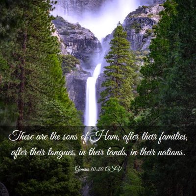 Picture 03 - Genesis 10:20 ASV - These are the sons of Ham, after their families, - Bible Verse Picture