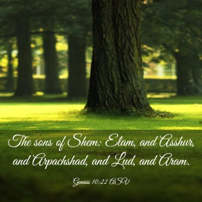 Picture 03 - Genesis 10:22 ASV - The sons of Shem: Elam, and Asshur, and - Bible Verse Picture