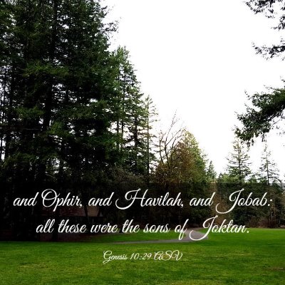 Picture 03 - Genesis 10:29 ASV - and Ophir, and Havilah, and Jobab: all these were - Bible Verse Picture