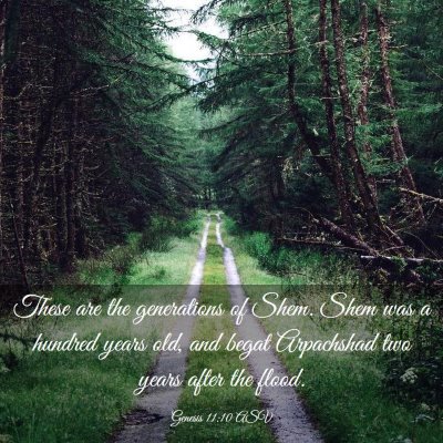 Picture 03 - Genesis 11:10 ASV - These are the generations of Shem. Shem was a - Bible Verse Picture
