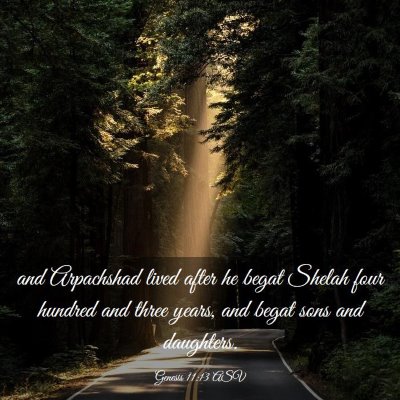 Picture 03 - Genesis 11:13 ASV - and Arpachshad lived after he begat Shelah four - Bible Verse Picture