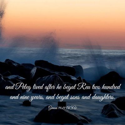 Picture 03 - Genesis 11:19 ASV - and Peleg lived after he begat Reu two hundred - Bible Verse Picture