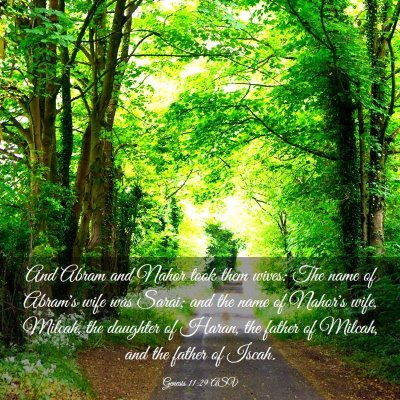 Picture 03 - Genesis 11:29 ASV - And Abram and Nahor took them wives: The name of - Bible Verse Picture