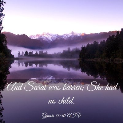 Picture 03 - Genesis 11:30 ASV - And Sarai was barren; She had no - Bible Verse Picture