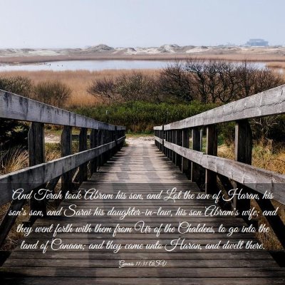 Picture 03 - Genesis 11:31 ASV - And Terah took Abram his son, and Lot the son of - Bible Verse Picture