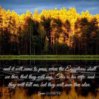 Picture 03 - Genesis 12:12 ASV - and it will come to pass, when the Egyptians - Bible Verse Picture