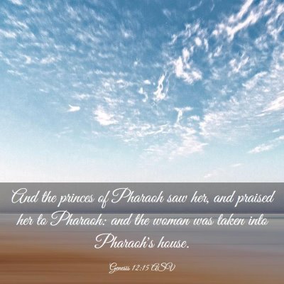 Picture 03 - Genesis 12:15 ASV - And the princes of Pharaoh saw her, and praised - Bible Verse Picture