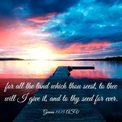 Picture 03 - Genesis 13:15 ASV - for all the land which thou seest, to thee will I - Bible Verse Picture