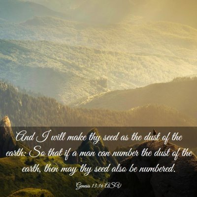 Picture 03 - Genesis 13:16 ASV - And I will make thy seed as the dust of the - Bible Verse Picture