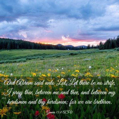 Picture 03 - Genesis 13:8 ASV - And Abram said unto Lot, Let there be no strife, - Bible Verse Picture