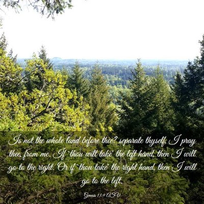Picture 03 - Genesis 13:9 ASV - Is not the whole land before thee? separate - Bible Verse Picture
