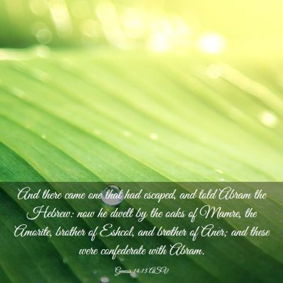Picture 03 - Genesis 14:13 ASV - And there came one that had escaped, and told - Bible Verse Picture