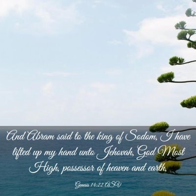 Picture 03 - Genesis 14:22 ASV - And Abram said to the king of Sodom, I have - Bible Verse Picture