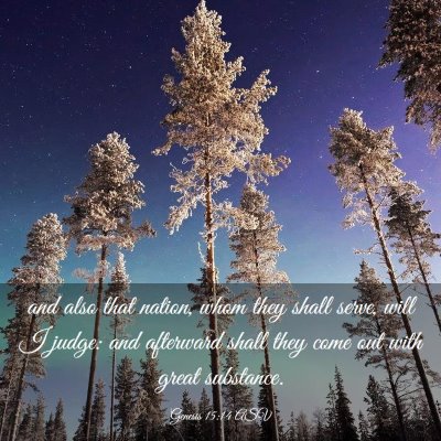 Picture 03 - Genesis 15:14 ASV - and also that nation, whom they shall serve, will - Bible Verse Picture