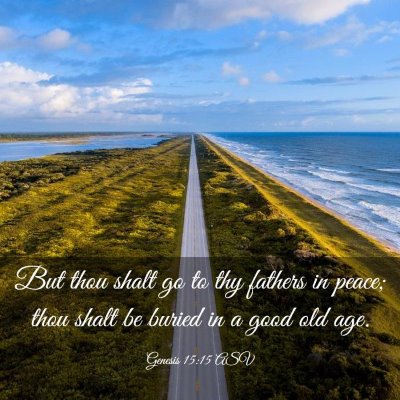 Picture 03 - Genesis 15:15 ASV - But thou shalt go to thy fathers in peace; thou - Bible Verse Picture