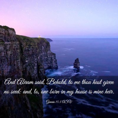 Picture 03 - Genesis 15:3 ASV - And Abram said, Behold, to me thou hast given no - Bible Verse Picture