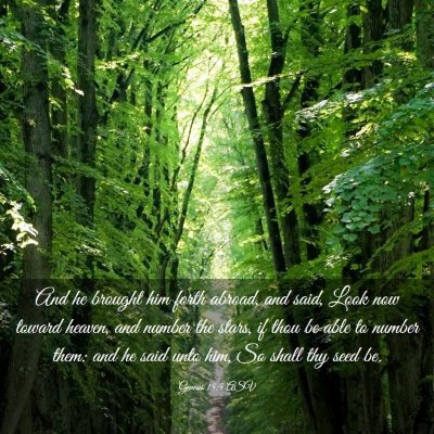 Picture 03 - Genesis 15:5 ASV - And he brought him forth abroad, and said, Look - Bible Verse Picture