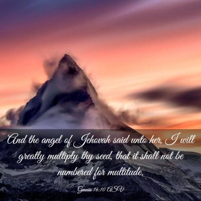 Picture 03 - Genesis 16:10 ASV - And the angel of Jehovah said unto her, I will - Bible Verse Picture