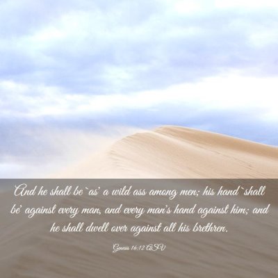 Picture 03 - Genesis 16:12 ASV - And he shall be `as' a wild ass among men; his - Bible Verse Picture