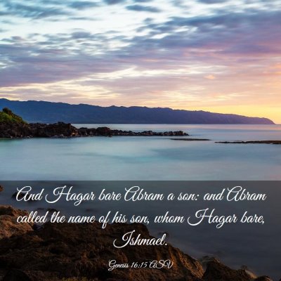 Picture 03 - Genesis 16:15 ASV - And Hagar bare Abram a son: and Abram called the - Bible Verse Picture
