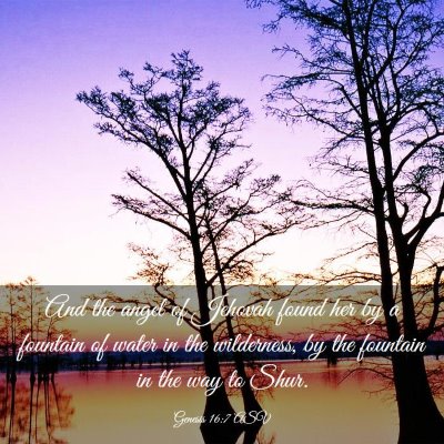 Picture 03 - Genesis 16:7 ASV - And the angel of Jehovah found her by a fountain - Bible Verse Picture
