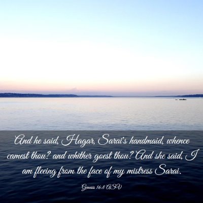 Picture 03 - Genesis 16:8 ASV - And he said, Hagar, Sarai's handmaid, whence - Bible Verse Picture