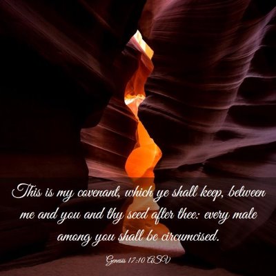 Picture 03 - Genesis 17:10 ASV - This is my covenant, which ye shall keep, between - Bible Verse Picture