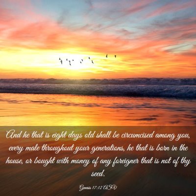 Picture 03 - Genesis 17:12 ASV - And he that is eight days old shall be - Bible Verse Picture