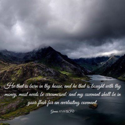 Picture 03 - Genesis 17:13 ASV - He that is born in thy house, and he that is - Bible Verse Picture