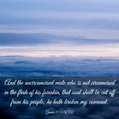 Picture 03 - Genesis 17:14 ASV - And the uncircumcised male who is not circumcised - Bible Verse Picture