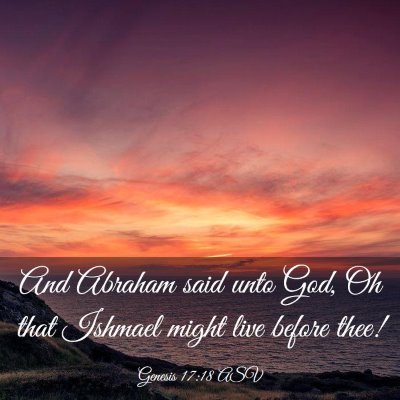 Picture 03 - Genesis 17:18 ASV - And Abraham said unto God, Oh that Ishmael might - Bible Verse Picture