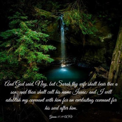 Picture 03 - Genesis 17:19 ASV - And God said, Nay, but Sarah thy wife shall bear - Bible Verse Picture