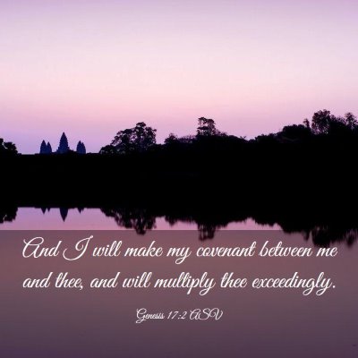 Picture 03 - Genesis 17:2 ASV - And I will make my covenant between me and thee, - Bible Verse Picture