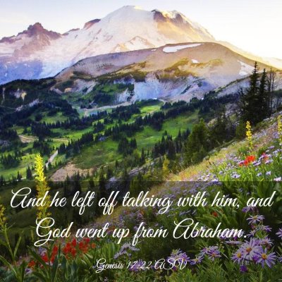 Picture 03 - Genesis 17:22 ASV - And he left off talking with him, and God went up - Bible Verse Picture