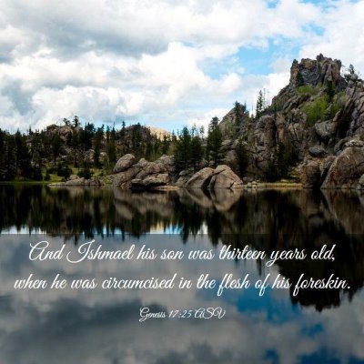 Picture 03 - Genesis 17:25 ASV - And Ishmael his son was thirteen years old, when - Bible Verse Picture