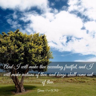 Picture 03 - Genesis 17:6 ASV - And I will make thee exceeding fruitful, and I - Bible Verse Picture