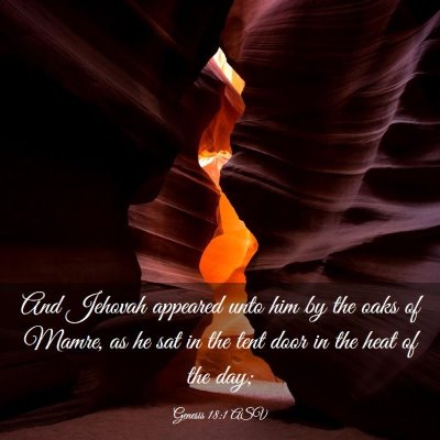 Picture 03 - Genesis 18:1 ASV - And Jehovah appeared unto him by the oaks of - Bible Verse Picture